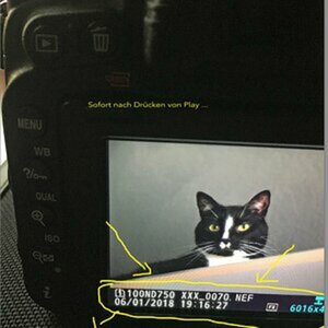 Demo intern