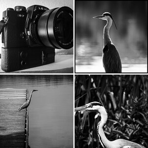 Black&White