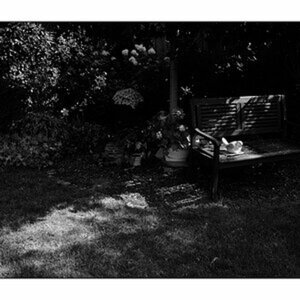 Monochrombilder