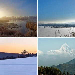 Pflanzen / Landschaft