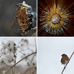 Natur 06
