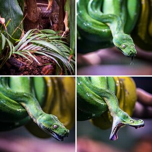 Photonight Terrazoo Rheinberg