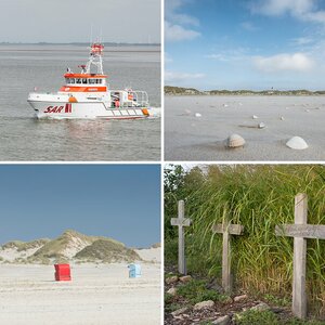 Amrum
