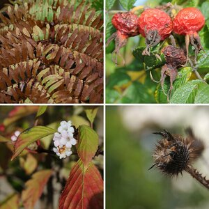 Herbst