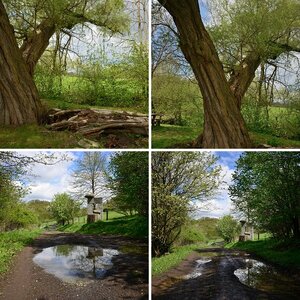Frühling im Böhmischen Mittelgebirge II