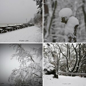 Winter 2020/2021