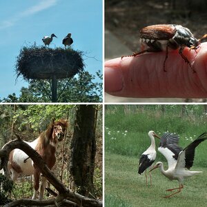 Natur07