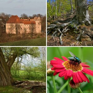Frühling_sonstige
