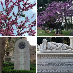 Friedhof in Rom