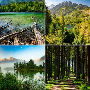 Naturfotografie