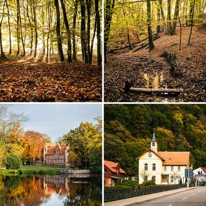 Herbst