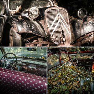 Auto-Skulpturen-Park Neandertal