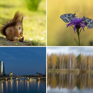 Bilder2021