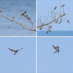 Uganda-3