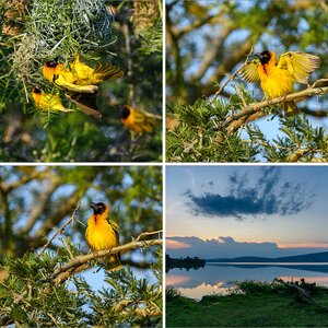 Uganda-5