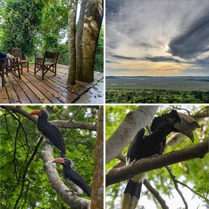 Uganda-19