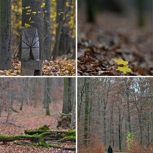 Herbst 2