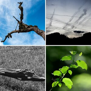 Natur