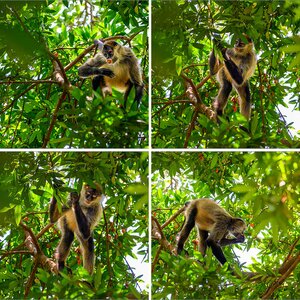 Costa Rica 08