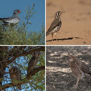 Namibia 2017