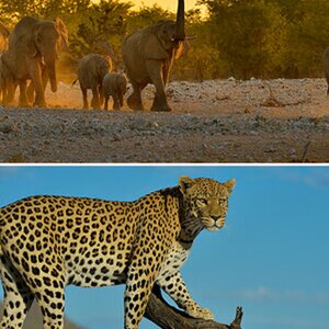 Namibia 2016