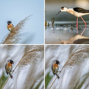Meine Naturfotos