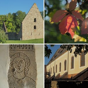 Frühherbst im Klosterpark Altzella