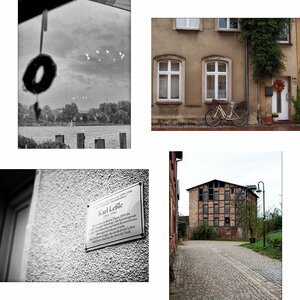 Biografie 2024
