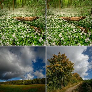 Landschaft Bov