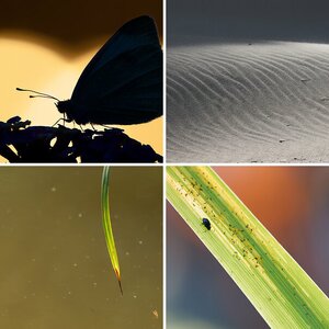 Minimalistisches