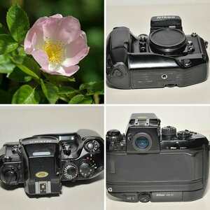 Nikon F4s