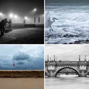5 beste Bilder 2024