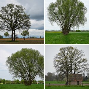 Bilder 22