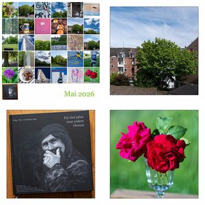365-Tage-Projekt 2026