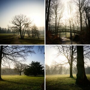 Morning Sun