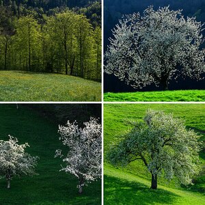 Frühling