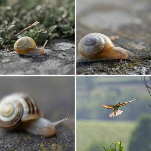 Sammelalbum_3
