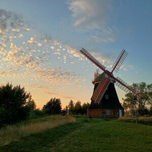 Allerlei