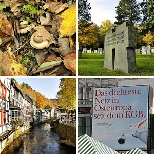 Herbst