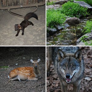 Tierpark Olderdissen