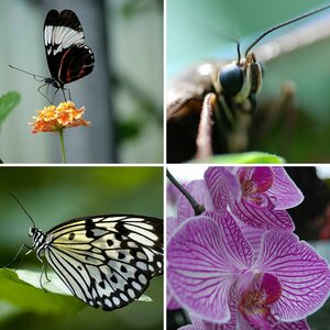 Mystiques Bilder