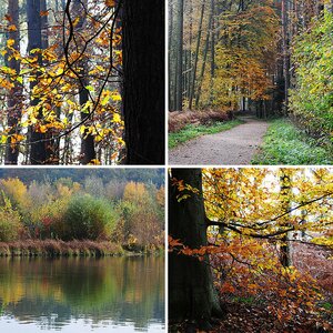 Bilder 1