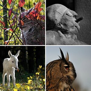 D5000 - Testbilder ("Best Of" ;-)