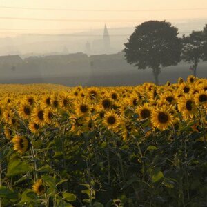 Landschaft