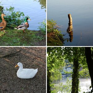Erste Bilder mit Nikon D40