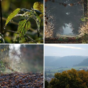Herbst