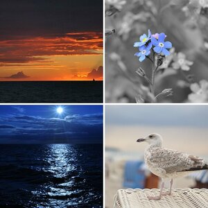 Diverses