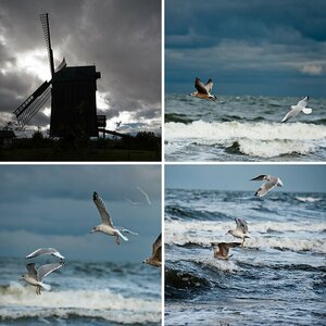 Usedom
