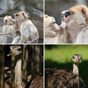 Tierpark