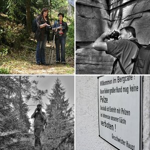 NF-F Treffen Märchensee o5/2oo9
